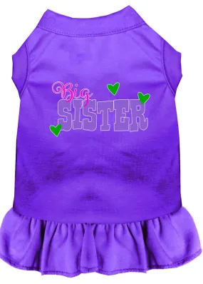 Big Sister Screen Print Dog Dress Purple Xl